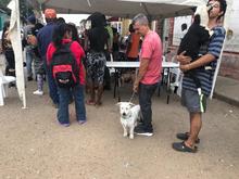 M&aacute;s de 120 animales se beneficiaron con la jornada de salud animal realizada en el &aacute;rea de renovaci&oacute;n urbana