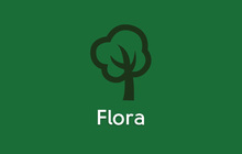 flora