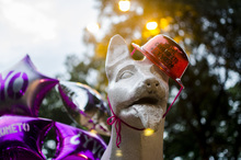 Yo me Comprometo ¿y vos?