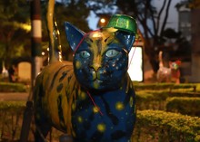 Yo me Comprometo ¿y vos?