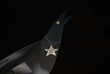 Yo me Comprometo ¿y vos?