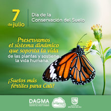 Conservaci&oacute;n del suelo