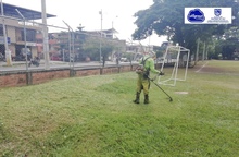 Programaci&oacute;n del noveno ciclo de corte de c&eacute;sped en Cali 