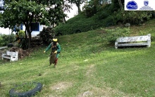 Programaci&oacute;n del noveno ciclo de corte de c&eacute;sped en Cali 