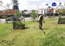 Programaci&oacute;n del noveno ciclo de corte de c&eacute;sped en Cali 