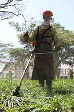 M&Aacute;S zonas verdes son embellecidas en Cali 