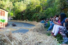 Los mejores riders del mundo compitieron en Cali por el Campeonato Mundial de Downhill Skateboarding