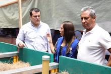 El compostaje, una alternativa de aprovechamiento sostenible de residuos s&oacute;lidos org&aacute;nicos 