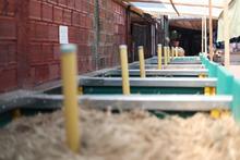 El compostaje, una alternativa de aprovechamiento sostenible de residuos s&oacute;lidos org&aacute;nicos 