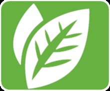 sistema ambiental-hoja