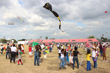 Con el &lsquo;Festival Multicultural de Cometas 2019&rsquo; el cielo cale&ntilde;o se llen&oacute; de colores
