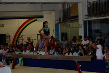 El deporte de m&aacute;s alto nivel sorprende a los asistentes del Cali SportFest 2019