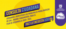 Encuesta consulta ciudadana