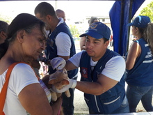 En el D&iacute;a Mundial contra la Rabia, Administraci&oacute;n Municipal realizar&aacute; jornada de salud animal