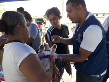 En el D&iacute;a Mundial contra la Rabia, Administraci&oacute;n Municipal realizar&aacute; jornada de salud animal