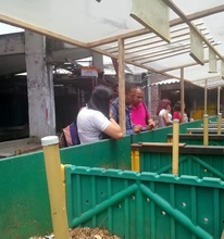 Alcald&iacute;a de Cali brinda M&Aacute;S alternativas de aprovechamiento de los residuos generados por las plazas de mercado