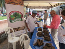 Gran acogida tuvo la feria de emprendimiento y empleabilidad de Semana de la Inclusi&oacute;n y la Reconciliaci&oacute;n en Cali