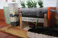 Estudiantes de la zona rural presentan sus proyectos de emprendimiento