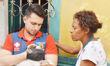 Emru incentiva la tenencia responsable y el bienestar animal en el &aacute;rea de renovaci&oacute;n urbana