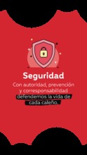 Seguridad movil