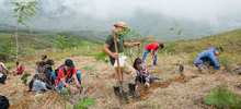 Administraci&oacute;n Armitage ha recuperado m&aacute;s del 80 % de los cerros tutelares de Cali 