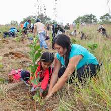 Administraci&oacute;n Armitage ha recuperado m&aacute;s del 80 % de los cerros tutelares de Cali 