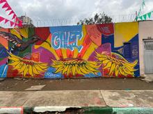 Cali ya tiene su Calle de la Alegr&iacute;a, la pintaron habitantes de calle en proceso de resocializaci&oacute;n