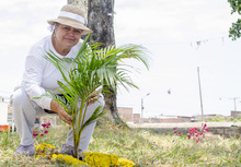 Conozca porqu&eacute; durante esta semana las Mesas de Cultura Ciudadana de Cali brillan con luz propia 