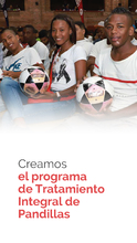 Tratamiento Integral de Pandillas