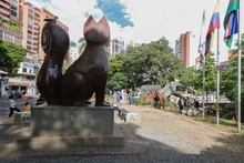 Problemas fitosanitarios y debilidad del terreno por lluvias generaron ca&iacute;da de ceiba: Dagma