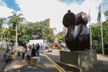 Problemas fitosanitarios y debilidad del terreno por lluvias generaron ca&iacute;da de ceiba: Dagma