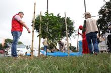 Administraci&oacute;n Armitage repuso &aacute;rboles vandalizados en la Autopista Sur y garantiza bienestar del corredor arb&oacute;reo de la Calle de la Feria  