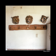 &lsquo;El fin del mundo&rsquo; lleg&oacute; al Centro Cultural de Cali