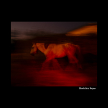 &lsquo;El fin del mundo&rsquo; lleg&oacute; al Centro Cultural de Cali