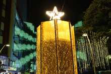 Hoy se inaugura el alumbrado para que vivas la Navidad en Mi Cali Bonita