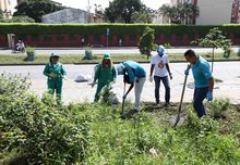 Con jornadas de retribuci&oacute;n social, Gestores de Paz embellecen a mi Cali Bonita