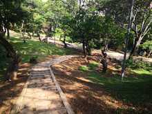 Alcalde Maurice Armitage entregar&aacute; este lunes el renovado Parque Sebasti&aacute;n de Belalc&aacute;zar 