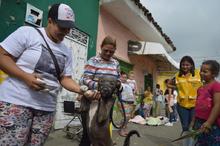 Jornada de adopci&oacute;n para los peluditos del &aacute;rea de renovaci&oacute;n urbana