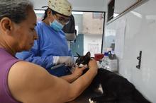 Jornada de adopci&oacute;n para los peluditos del &aacute;rea de renovaci&oacute;n urbana