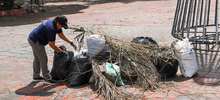 La jornada de limpieza afianz&oacute; el compromiso de la ciudadan&iacute;a cale&ntilde;a