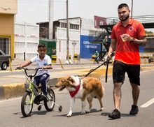 El domingo 2 de febrero inicia la ciclov&iacute;a en Cali