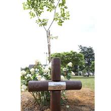 Santiago de Cali rindi&oacute; homenaje a la memoria, trabajo, legado y ejemplo del fiscal Alcibiades Libreros Varela