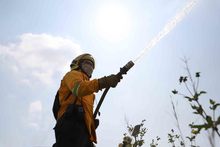 Cali, ciudad l&iacute;der en tecnolog&iacute;a para detectar y atender incendios forestales