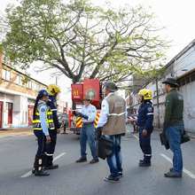 Extraen 4.800 orugas de ceibas del barrio San Nicol&aacute;s