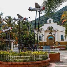 Felidia se la juega por el medio ambiente, la salud p&uacute;blica y la movilidad como ejes de su Plan de Desarrollo