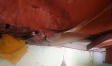 Ayuda humanitaria llega a familias afectadas por vendaval e incendio estructural