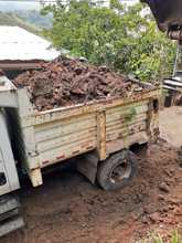 Cuadrilla operativa retira alud en La Buitrera