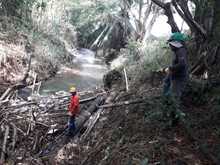 Destaponan empalizada en el r&iacute;o Lili