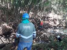 Destaponan empalizada en el r&iacute;o Lili