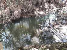 Destaponan empalizada en el r&iacute;o Lili